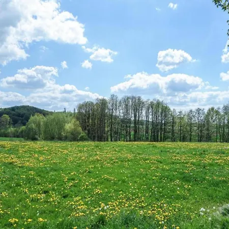 Spacious apartment with oven, located in the green Bruchttal Bredenborn