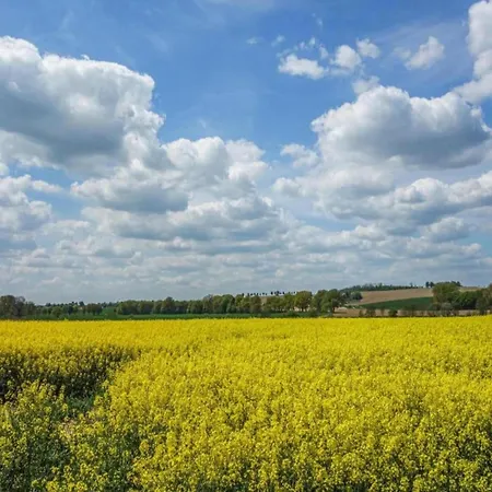 In Germany With Garden Terrace Apartament