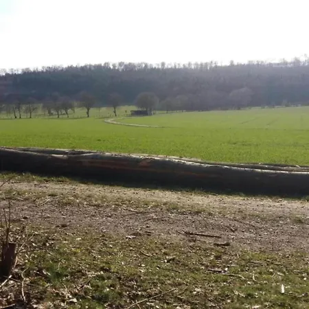 In Germany With Garden Terrace Apartament