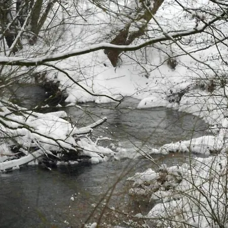 Apartament In Germany With Garden Terrace *