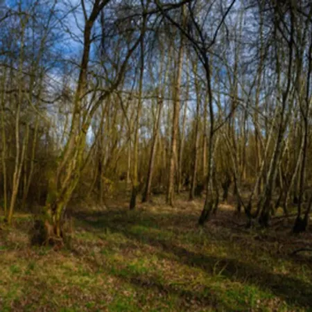 In Germany With Garden Terrace Apartament Bredenborn