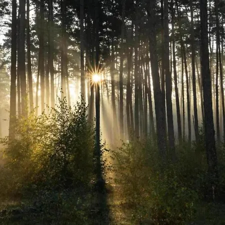 In Germany With Garden Terrace Bredenborn