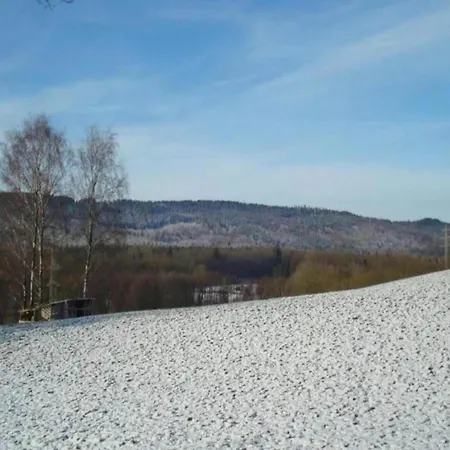 In Germany With Garden Terrace *