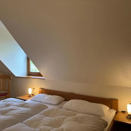 Appartement Spacious apartment with oven, located in the green Bruchttal Bredenborn