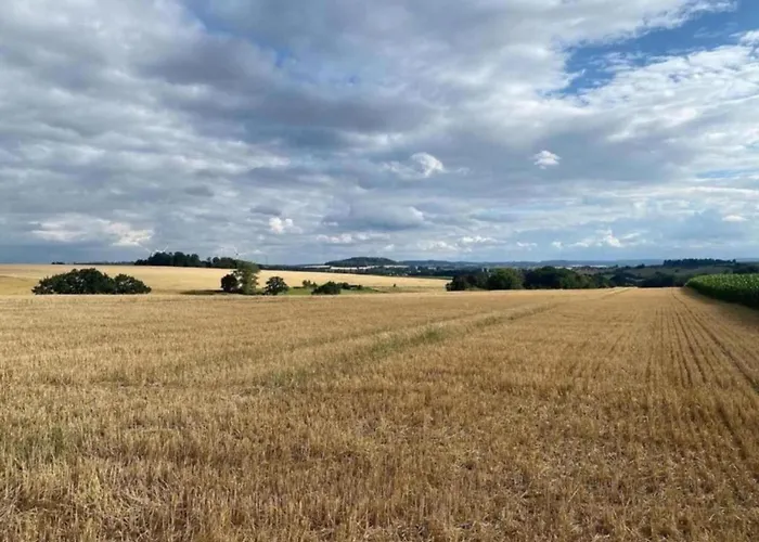 In Germany With Garden Terrace *