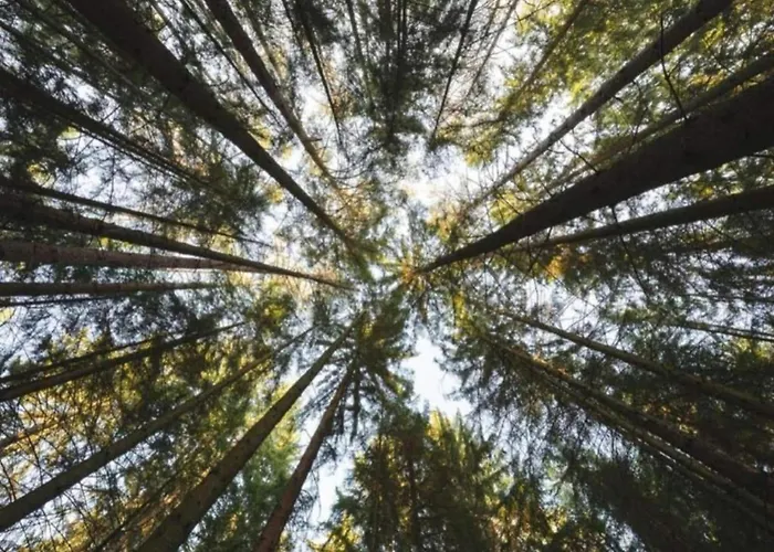 דירה In Germany With Garden Terrace