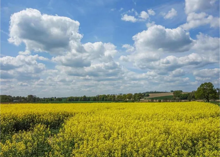 In Germany With Garden Terrace דירה