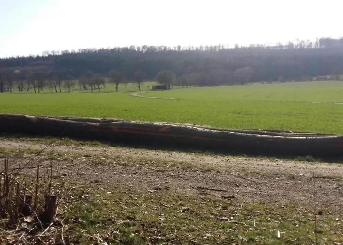 In Germany With Garden Terrace דירה