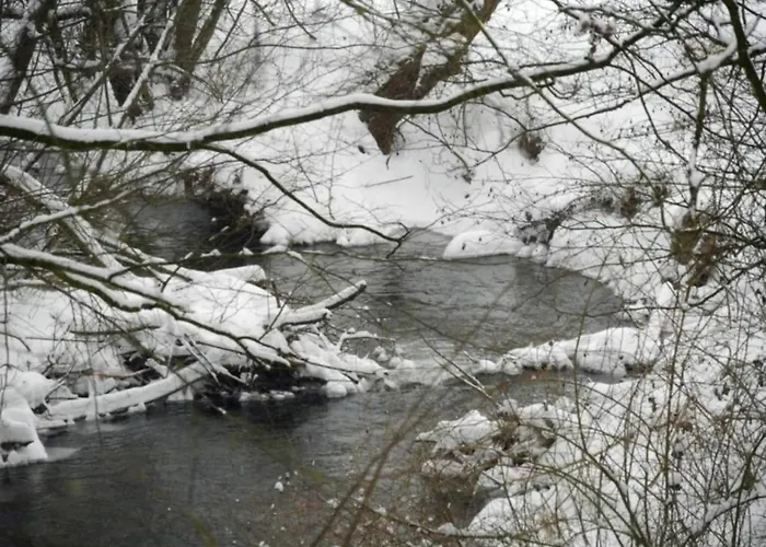 דירה In Germany With Garden Terrace *