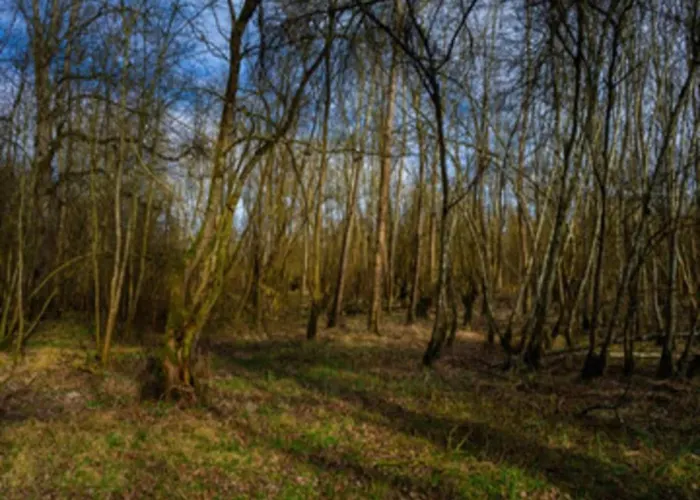 In Germany With Garden Terrace דירה Bredenborn