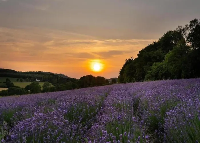 דירה In Germany With Garden Terrace Bredenborn