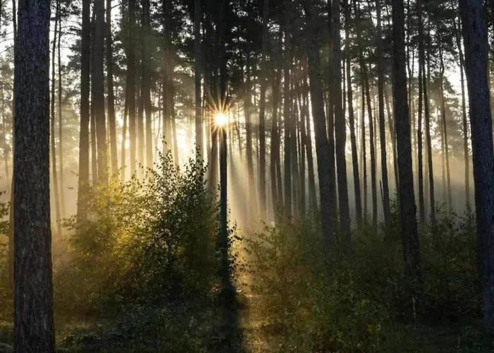 In Germany With Garden Terrace Bredenborn