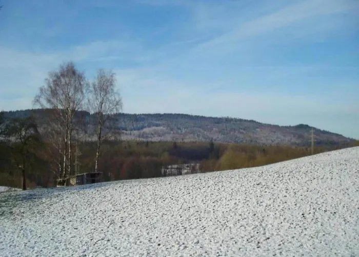 In Germany With Garden Terrace *