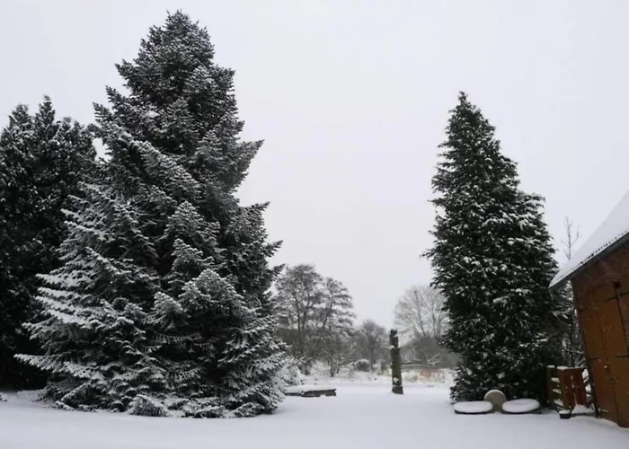 In Germany With Garden Terrace Bredenborn